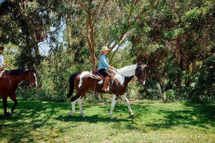 Horseback riding