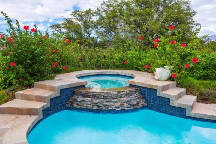 KaMilo 329 by South Kohala Management in Waimea, HI
