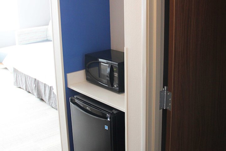Mini-refrigerator