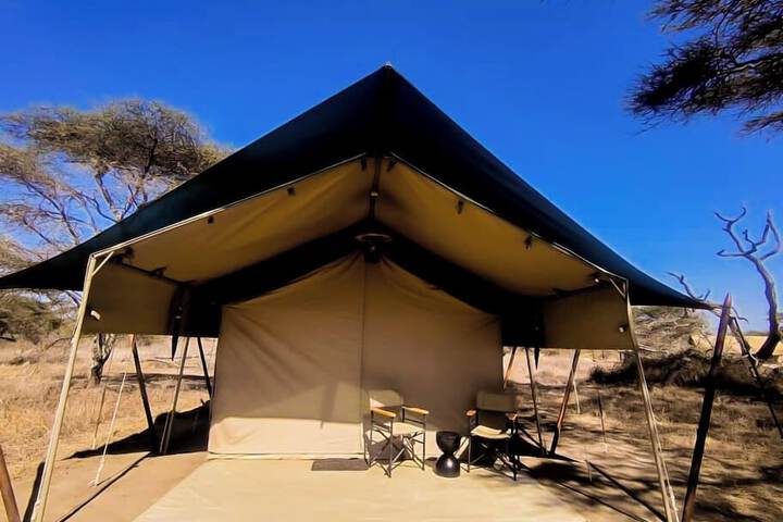 Hotel 40 of 46