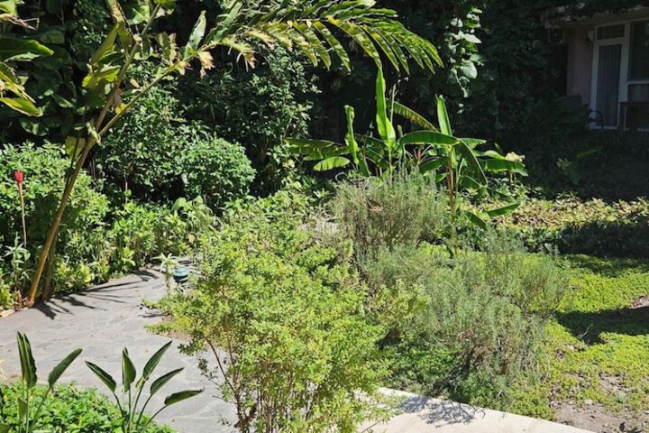 Terrace/Patio 16 of 39