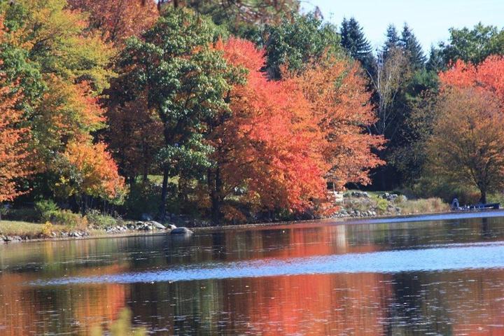 Property Grounds 27 of 50