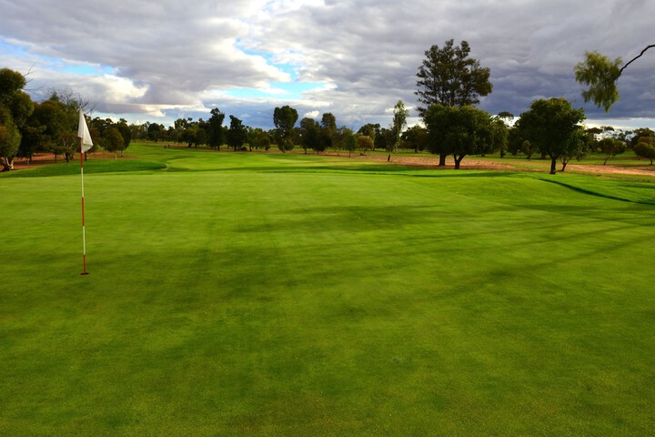 Golf 24 of 50