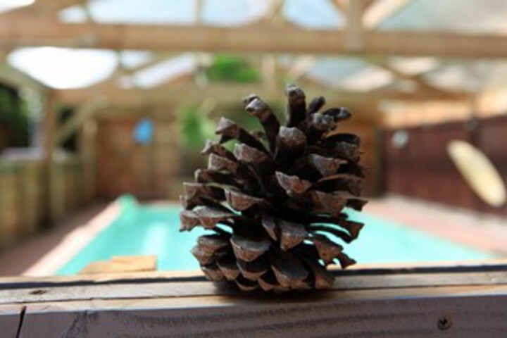 Pool 16 of 32