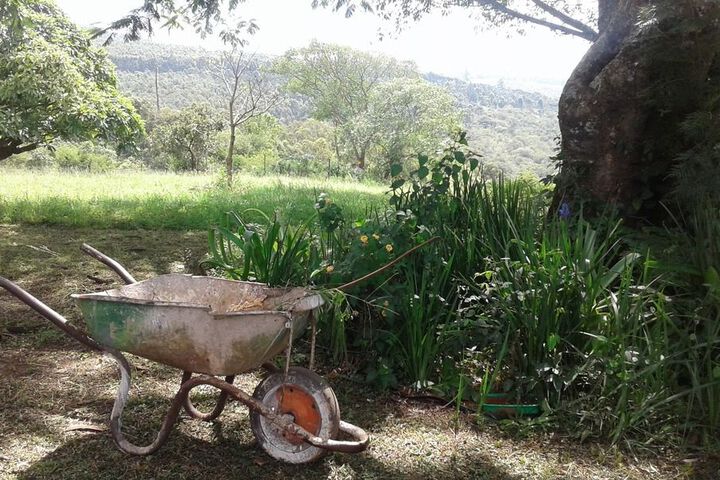 Property Grounds 17 of 21