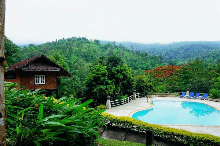 Hotel with Pool