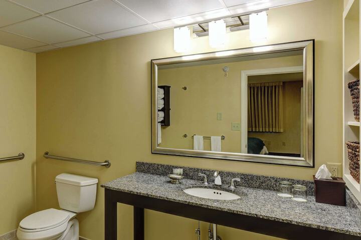 1 King Bed Accessible (3 of 8)