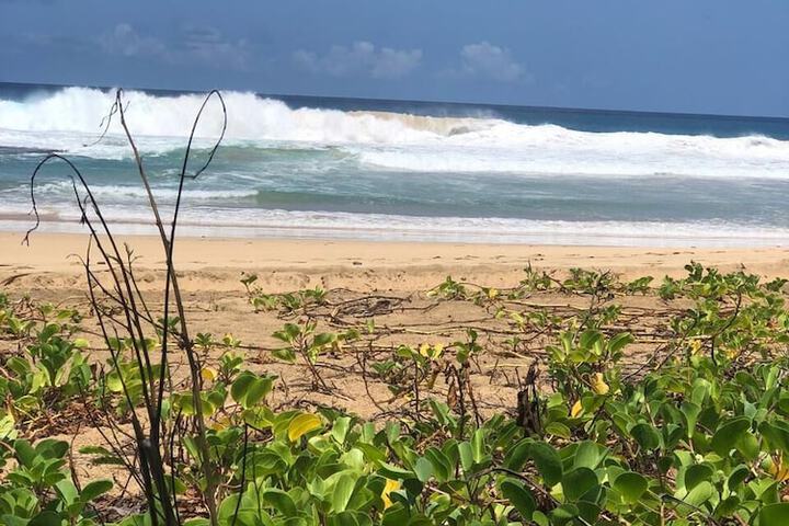Beach 93 of 99