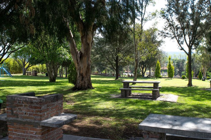 Property Grounds 58 of 63