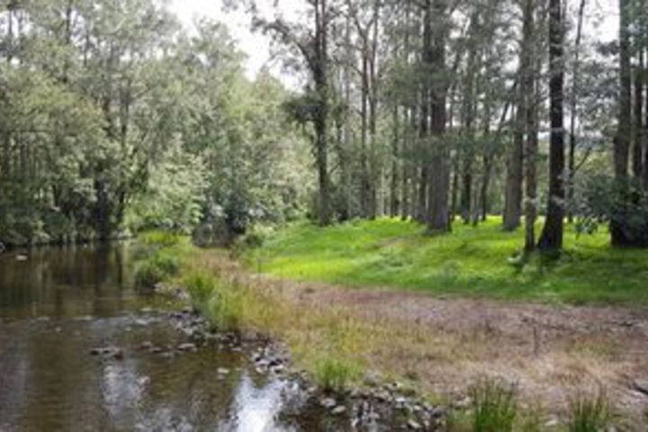 Property Grounds 20 of 20