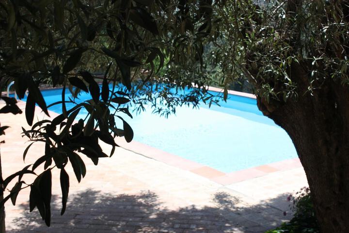 Pool 32 of 61