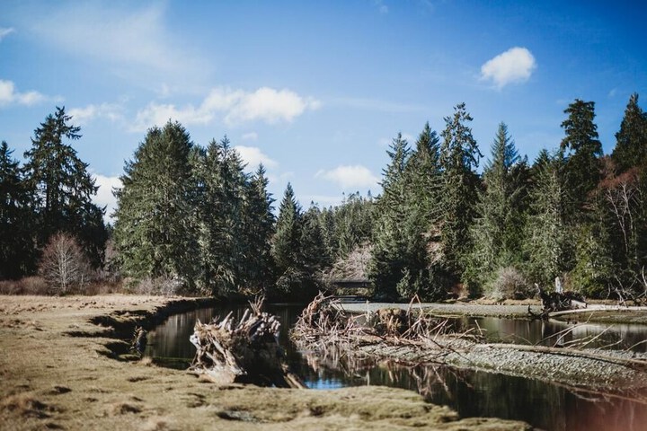 Property Grounds 22 of 26