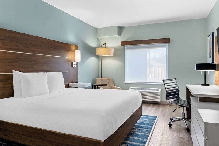 Standard | King Bed (4 of 17)