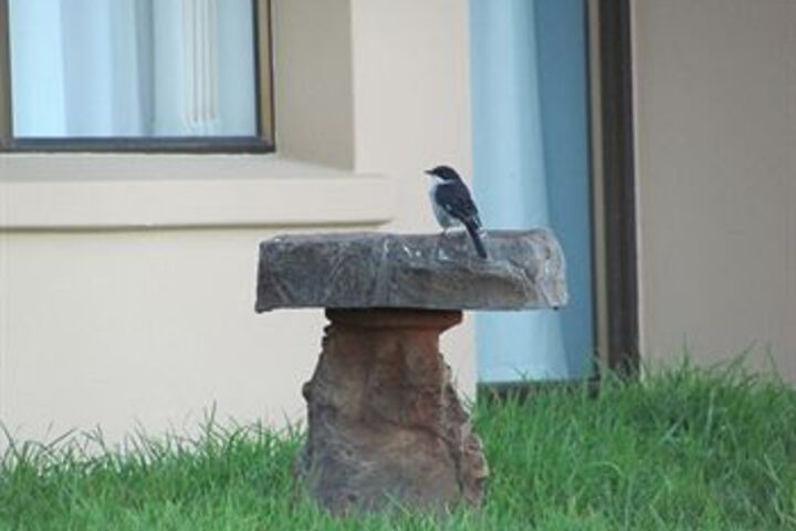 Property Grounds 23 of 26