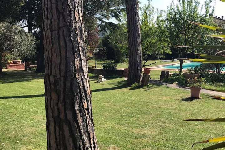 Property Grounds 18 of 29