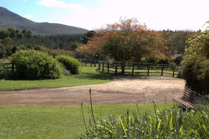 Property Grounds 21 of 34