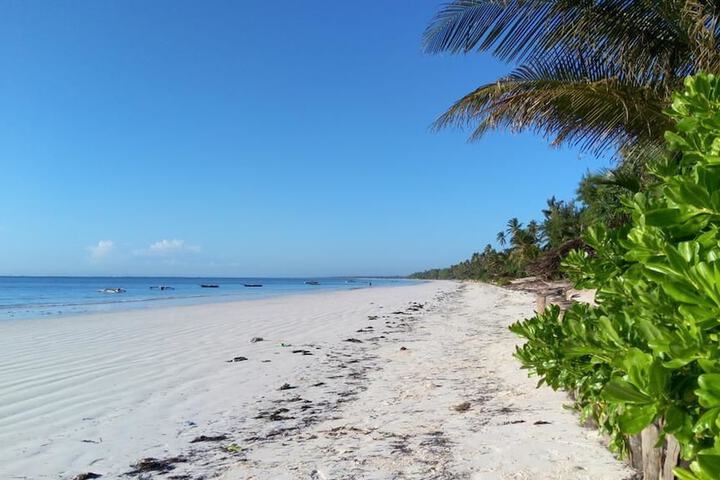 Beach 21 of 27