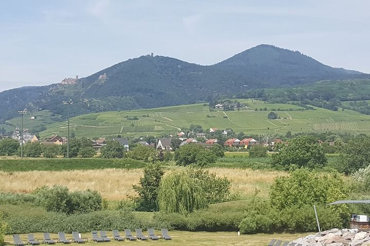 View from room