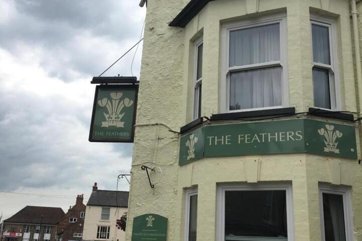 The Feathers