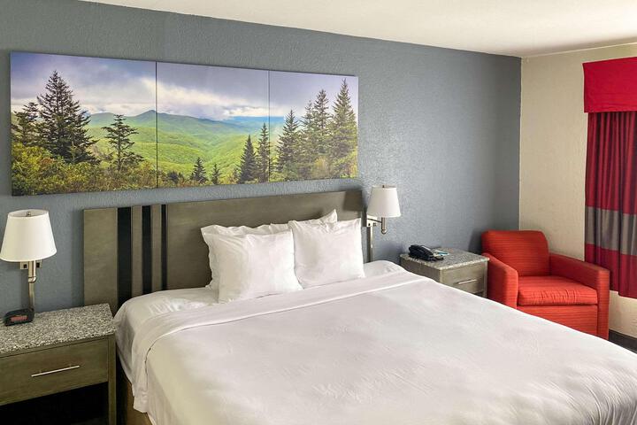 1 King Bed (5 of 11)