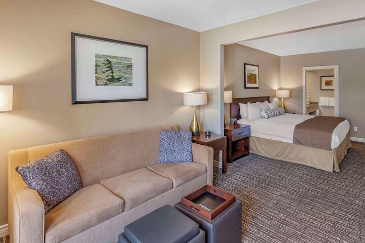 1 King Bed Efficiency (1 of 16)