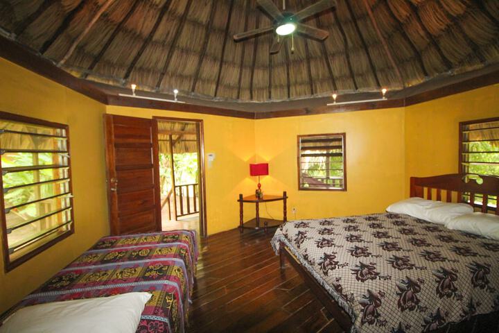 Room 20 of 51