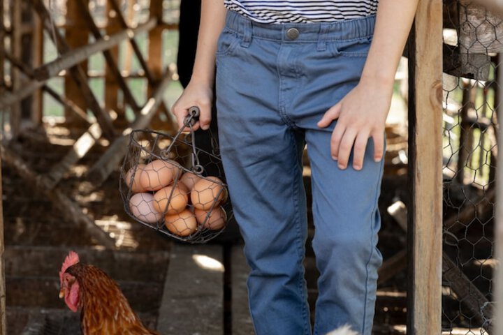 Childrens Activities 57 of 122