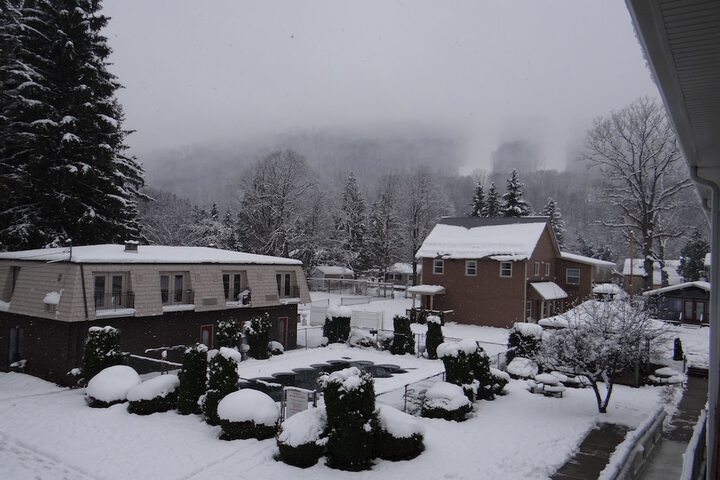 View from room
