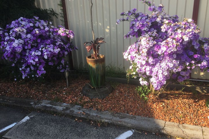 Property Grounds 56 of 74
