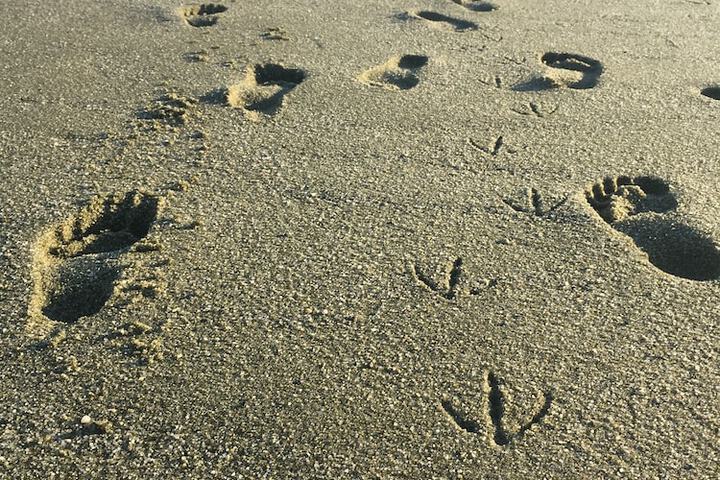 Beach 47 of 50