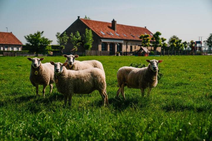hoevehotel ter haeghe