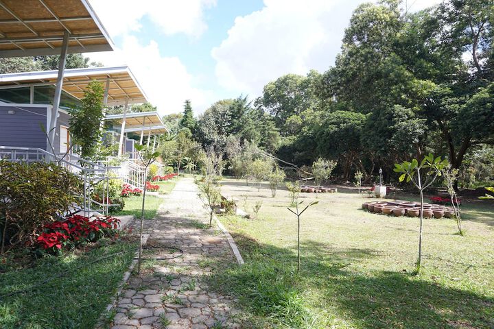 Property Grounds 20 of 37