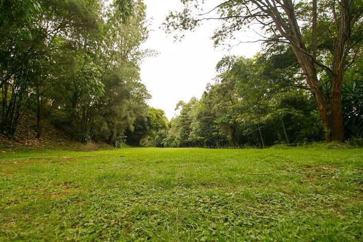 Property Grounds 172 of 194