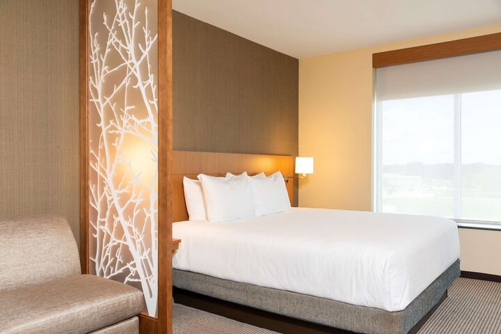 1 King Bed (17 of 19)