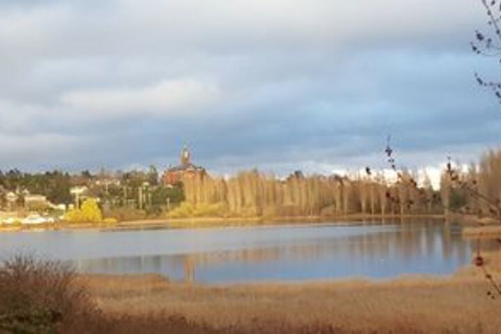 Property Grounds 82 of 126