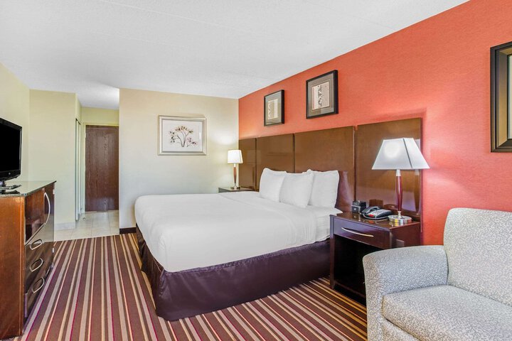 1 King Bed (8 of 10)