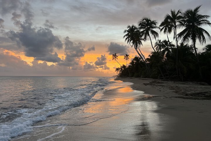 Beach 78 of 83