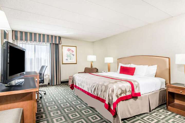 1 King Bed Room