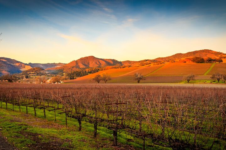 Winery