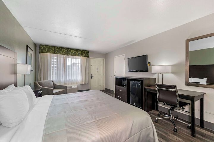 1 King Bed (5 of 12)
