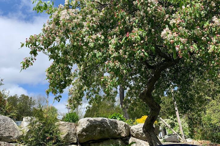 Hotel Exterior 86 of 97