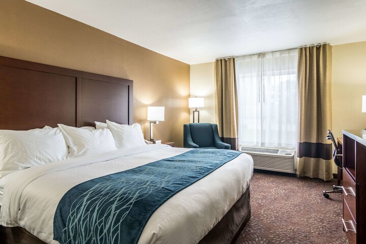 1 King Bed (6 of 15)