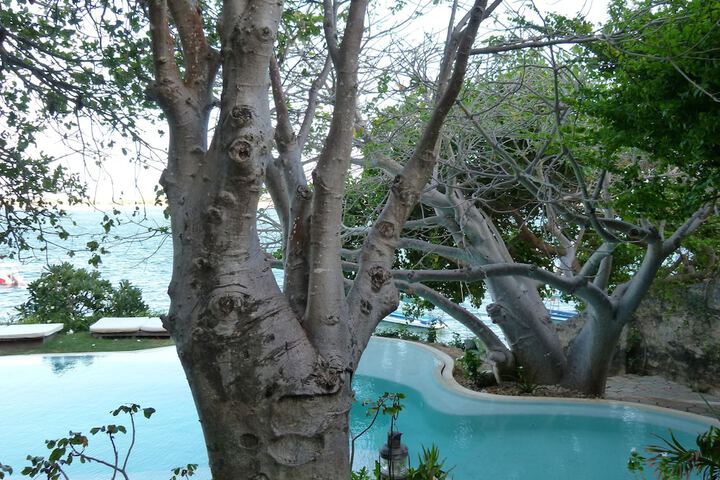 Pool 24 of 71