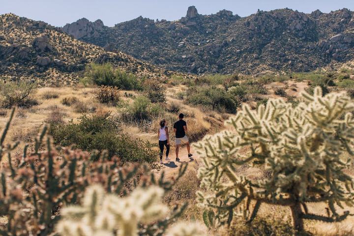 Hiking