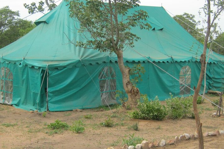 Room 4 of 55