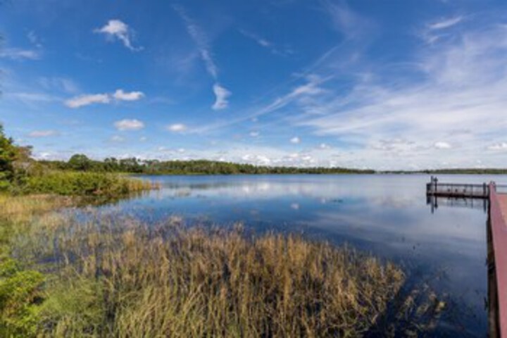 Property Grounds 16 of 63