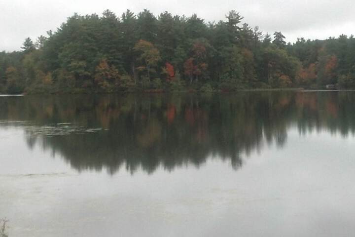 Property Grounds 30 of 50