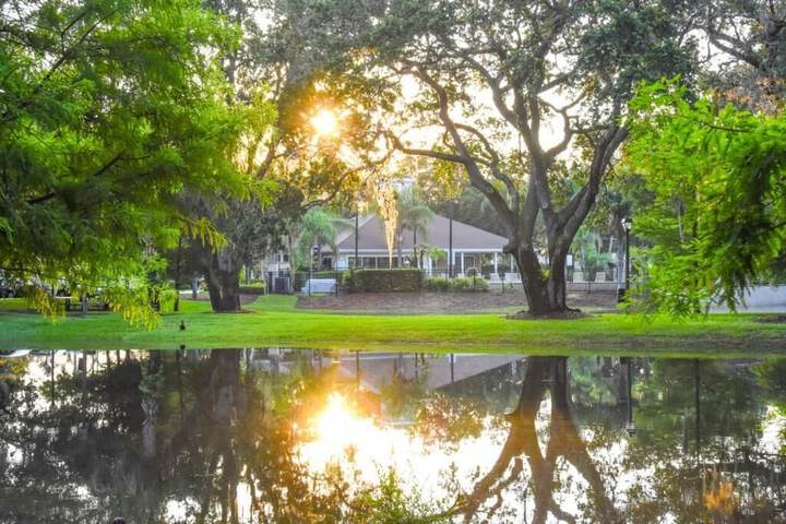 Property Grounds 24 of 32