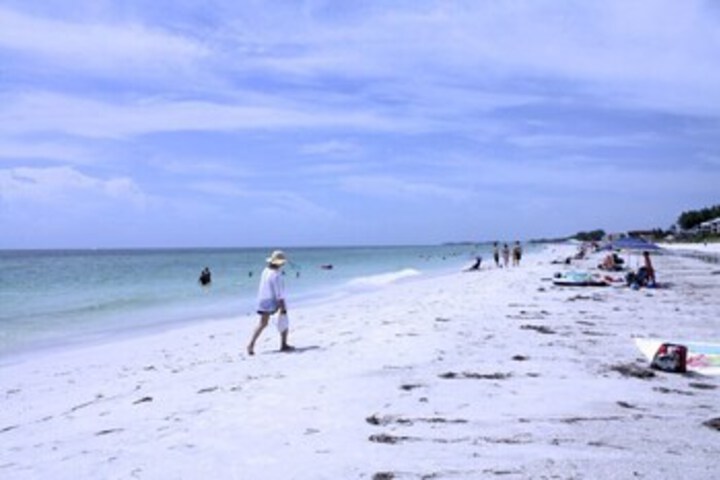 Beach 35 of 67