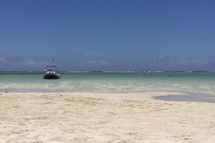 Beach 41 of 44